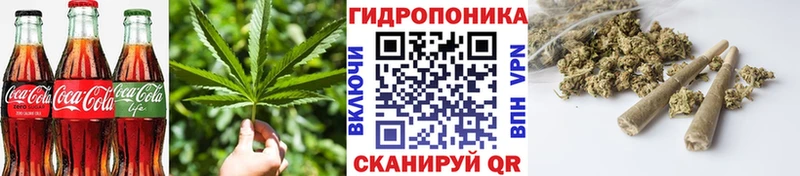 kraken ссылки  мориарти Telegram  Еда ТГК марихуана  Шагонар 