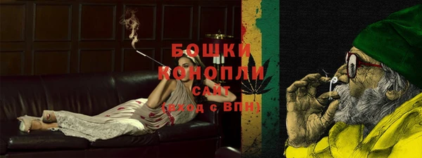 шишки Баксан