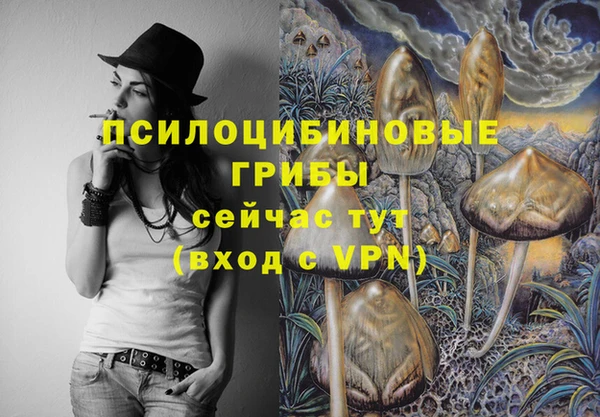 ГАЛЛЮЦИНОГЕННЫЕ ГРИБЫ Балабаново