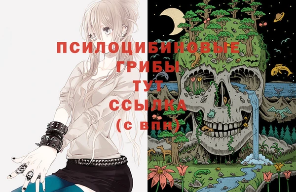 дмт Балахна