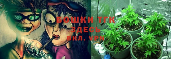 дмт Балахна