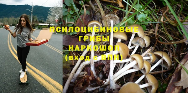 шишки Баксан