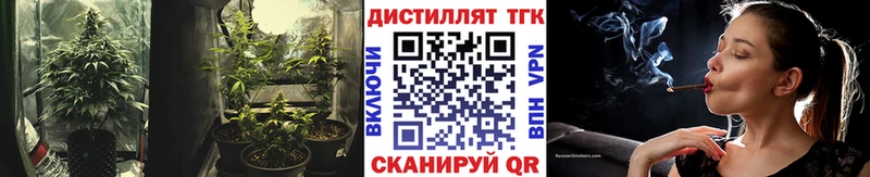 даркнет телеграм  кракен как зайти  Шагонар  Дистиллят ТГК вейп 