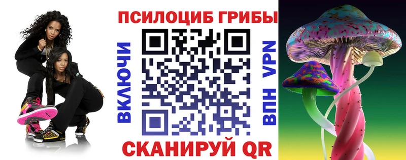 Псилоцибиновые грибы Cubensis  Шагонар 